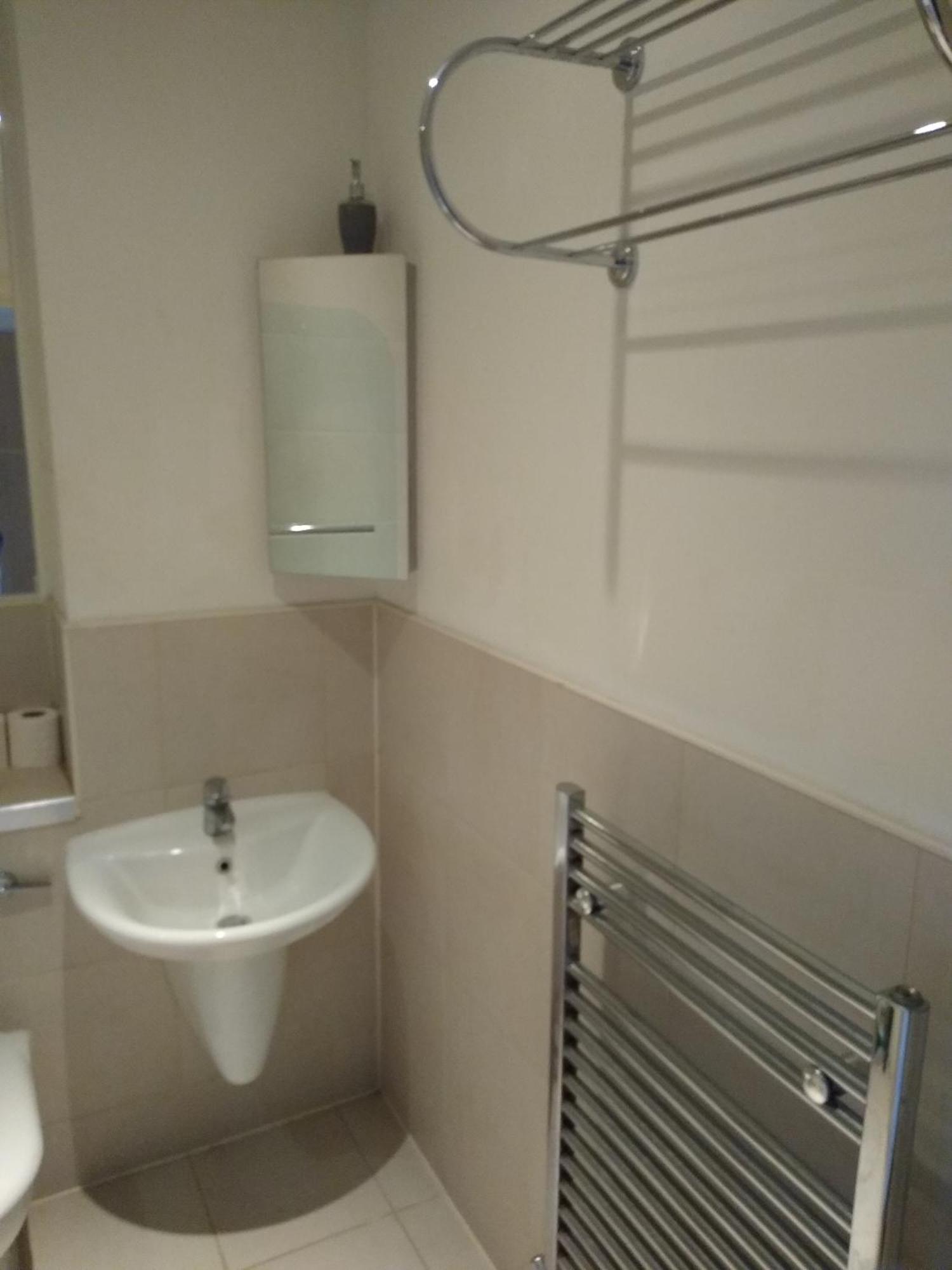 Room In Luxurious Penthouse Apartment Лондон Екстер'єр фото