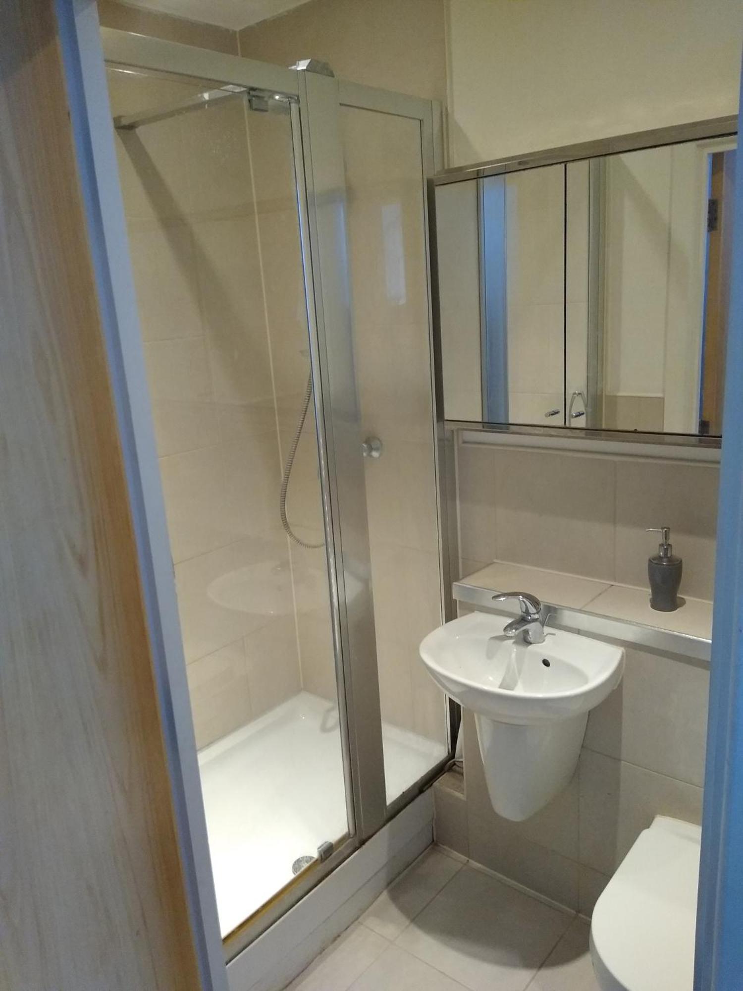 Room In Luxurious Penthouse Apartment Лондон Екстер'єр фото