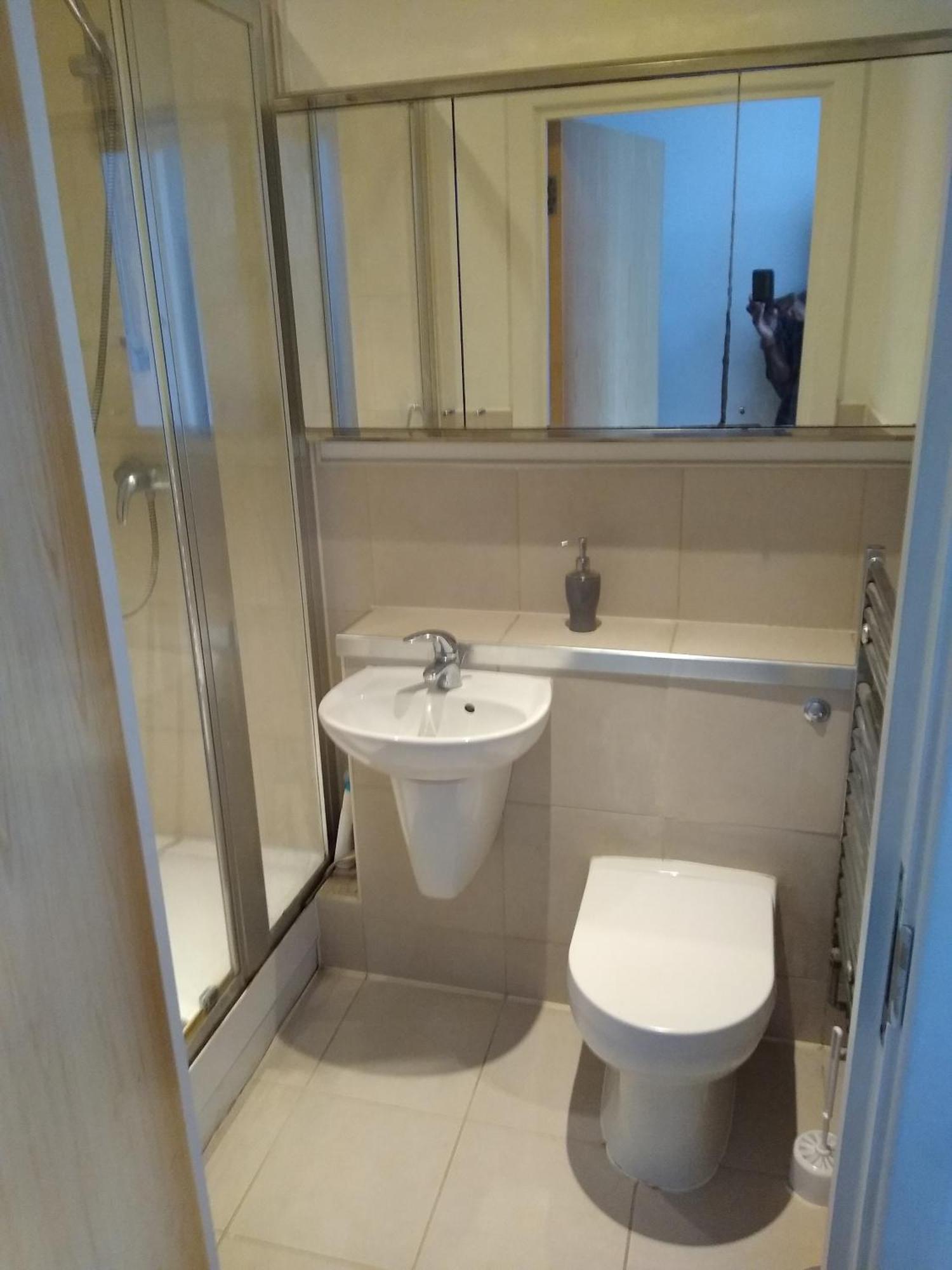 Room In Luxurious Penthouse Apartment Лондон Екстер'єр фото